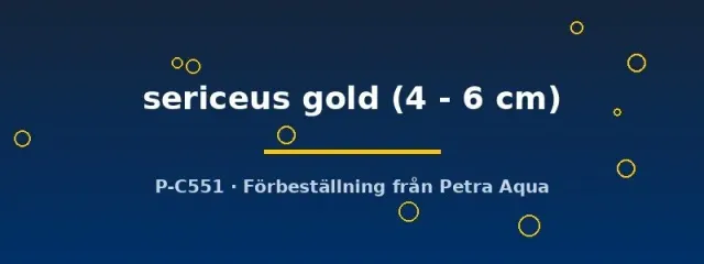 Rhodeus sericeus Gold amur bitterling 4–6 cm stimfisk
