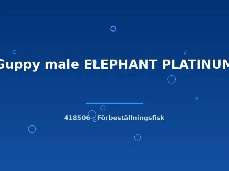Näsets Guppy Elephant Platinum hane akvariefisk medium