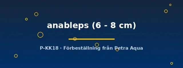 Näsets Ciklidhobby Anableps anableps akvariefisk 6-8 cm fyröga