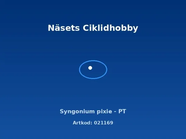 Näsets Ciklidhobby Syngonium pixie akvarieväxt PT