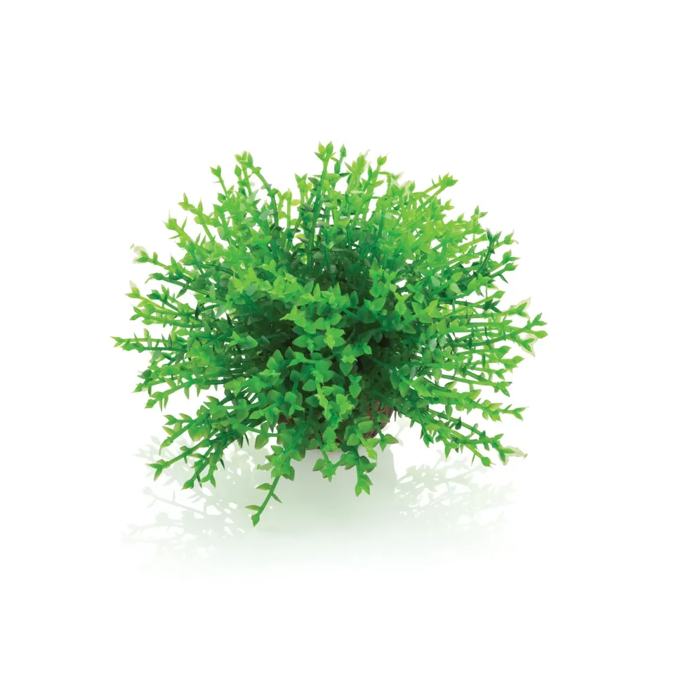 biOrb Green Flower Ball akvarieväxt grön