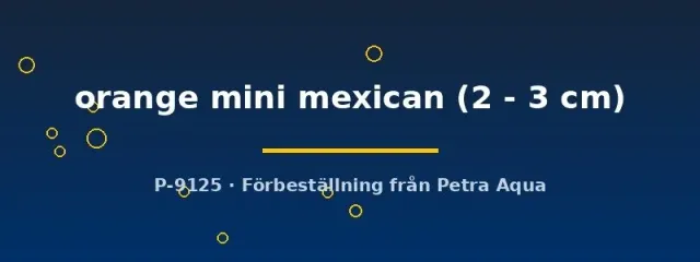 Näsets Ciklidhobby Procambarus orange mini mexican kräfta 2-3 cm