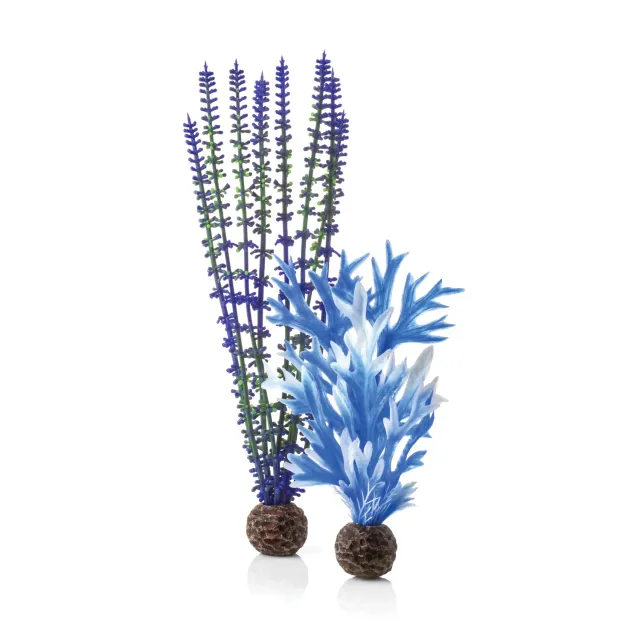 biOrb Medium Blue & Purple Plant Set akvarievisualisering