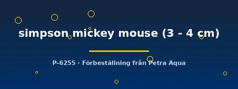 Näsets Ciklidhobby Platy simpson mickey mouse 3–4 cm levandefödare