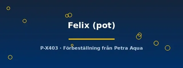 Näsets Echinodorus Felix akvarieväxt kruka grön