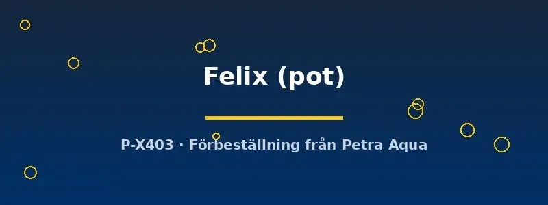 Näsets Echinodorus Felix akvarieväxt kruka grön