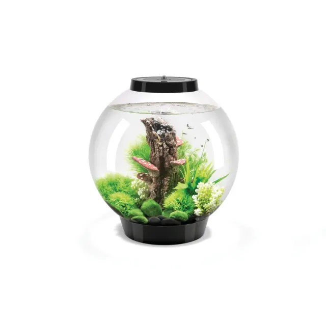 biOrb Classic 30 akvarium 30 liter svart komplett med LED