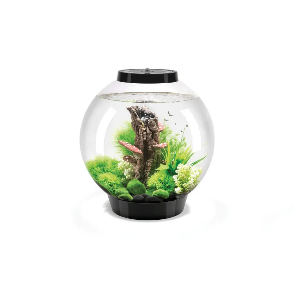 biOrb Classic 30 akvarium 30 liter svart komplett med LED