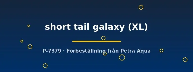 Näsets Ciklidhobby Betta short tail galaxy kampfisk hane XL