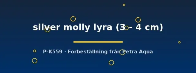 Näsets Ciklidhobby Poecilia latipinna molly 3-4 cm silver lyra