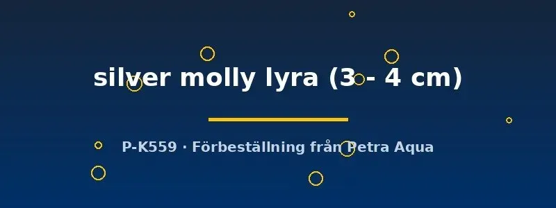 Näsets Ciklidhobby Poecilia latipinna molly 3-4 cm silver lyra
