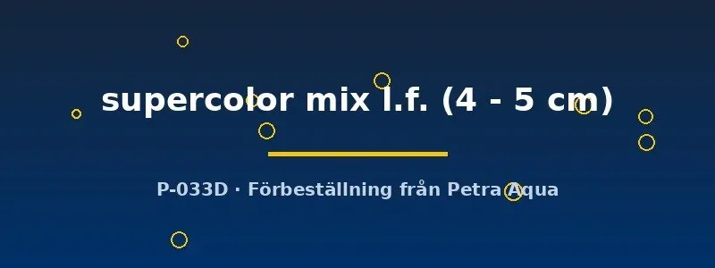 Pterophyllum scalare supercolor mix l.f. skalar 4–5 cm färgmix