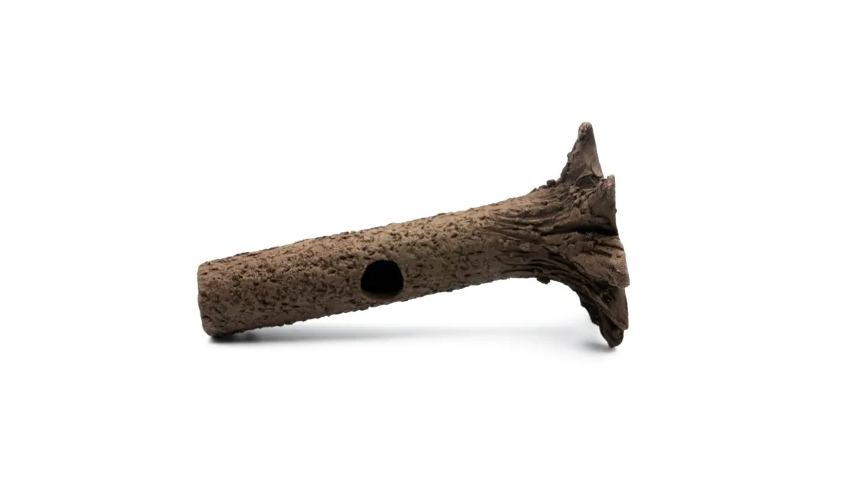 Garnelen TV Nano räkstam 10 cm dekoration brun/svart