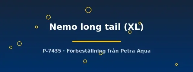 Betta spl Nemo long tail kampfisk hona XL