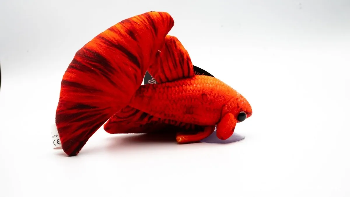Garnelen TV Betta röd kampfisk gosedjur 16 cm