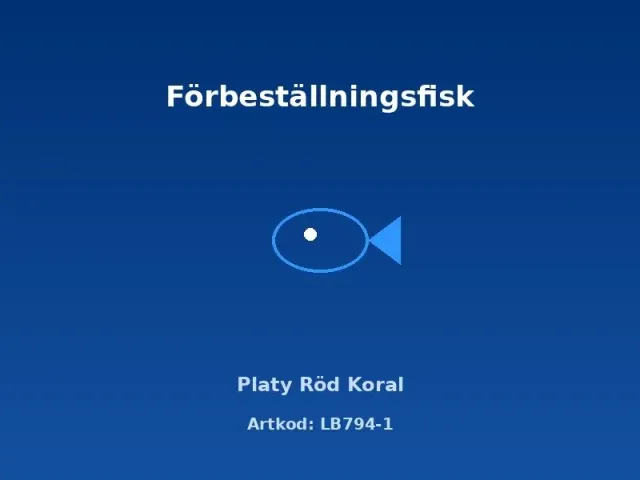 Näsets Ciklidhobby Platy Röd koral 2–2,5 cm akvariefisk röd