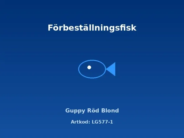 Näsets Ciklidhobby Guppy Röd Blond akvariefisk 3–3,5 cm par