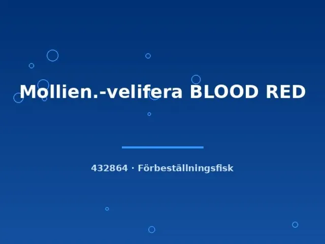 Näsets Ciklidhobby Velifera Blood Red molly lg–xl