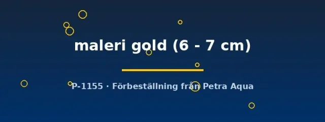 Näsets Ciklidhobby Maleri Gold påfågelciklid 6–7 cm guld