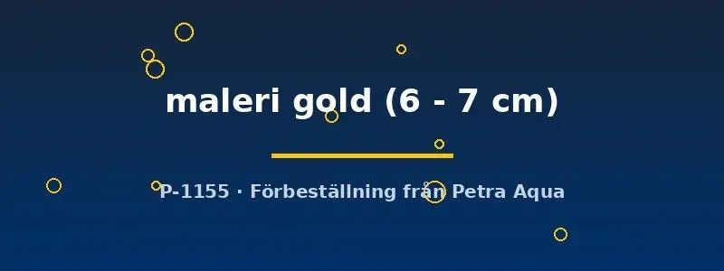 Näsets Ciklidhobby Maleri Gold påfågelciklid 6–7 cm guld