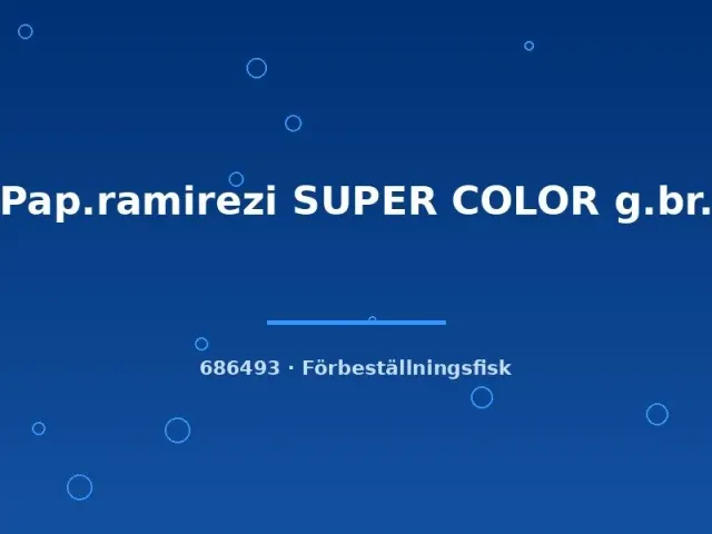 Näsets Ciklidhobby Pap ramirezi super color ciklid 3–5 cm