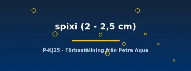 Näsets Ciklidhobby Asolene spixi snäcka 2–2,5 cm algätare