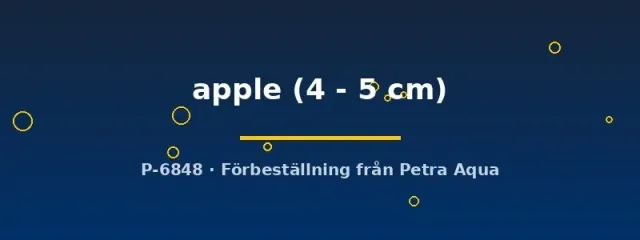 Näsets Ciklidhobby Xiphophorus helleri apple svärdbärare 4–5 cm tålig