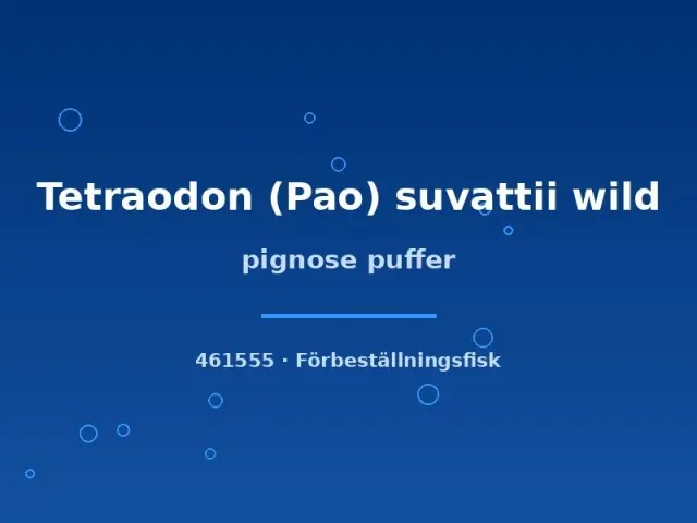 Näsets Ciklidhobby Tetraodon suvattii kulfisk 8–12 cm