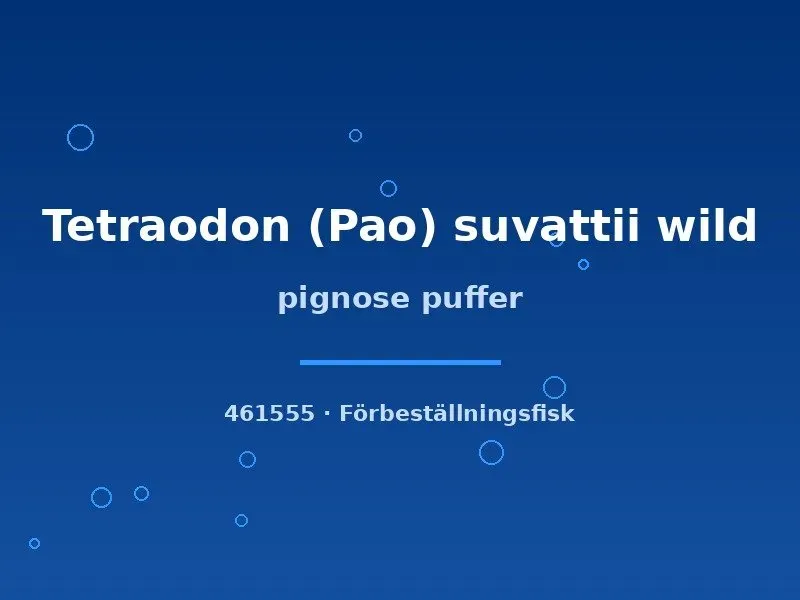 Näsets Ciklidhobby Tetraodon suvattii kulfisk 8–12 cm