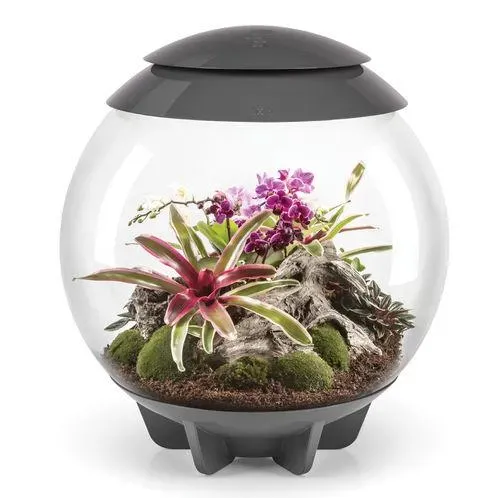 biOrb Air 60 terrarium 60 liter grå automatisk dimma