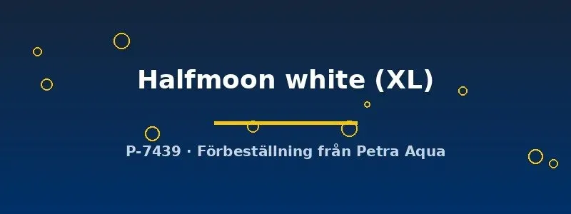 Näsets Ciklidhobby Betta spl. Halfmoon white kampfisk hona XL vit