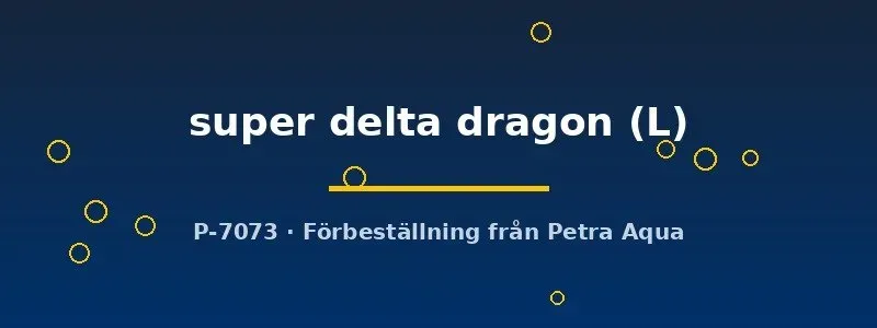 Betta super delta dragon kampfisk hane L