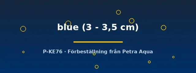 Näsets Ciklidhobby scalare blue akvariefisk 3–3,5 cm skalar