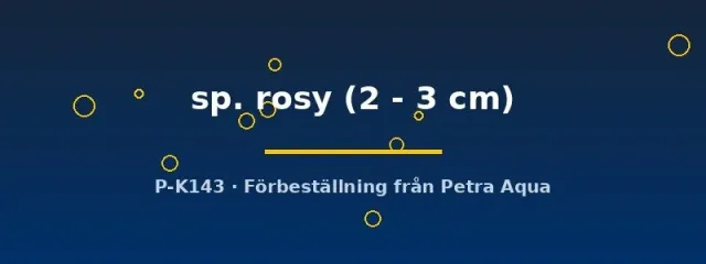 Näsets Ciklidhobby Yunnanilus Rosy grönling 2–3 cm