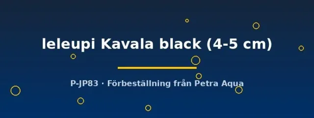 Näsets Neolamprologus leleupi Kavala ciklid 4–5 cm