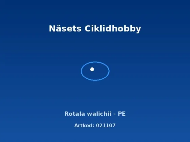 Näsets Rotala wallichii akvarieväxt PE röd