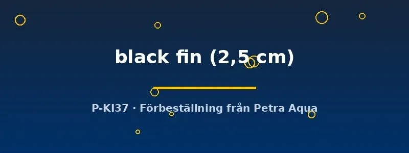 Näsets Ciklidhobby Aspidoras black fin akvariefisk 2,5 cm bottenfisk