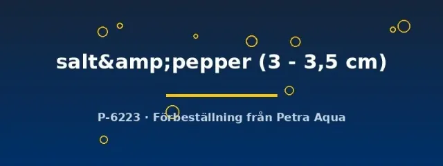 Näsets Ciklidhobby Salt Pepper platy 3–3,5 cm