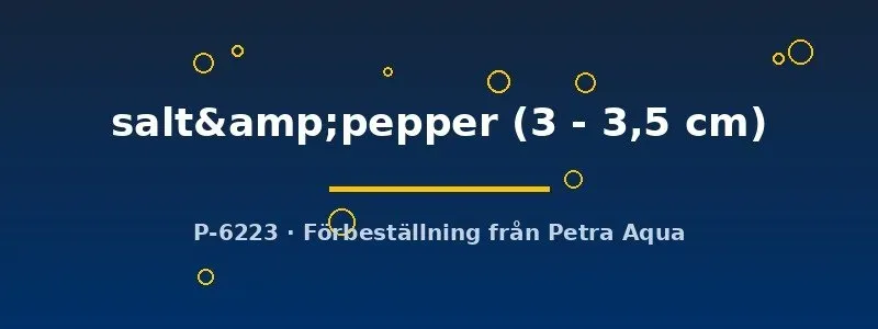 Näsets Ciklidhobby Salt Pepper platy 3–3,5 cm