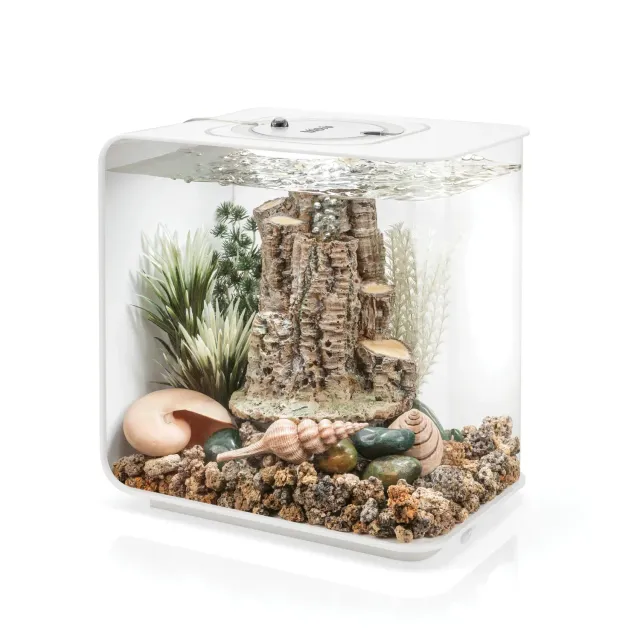 biOrb FLOW 30 Forest Rhythm akvarium 30 liter