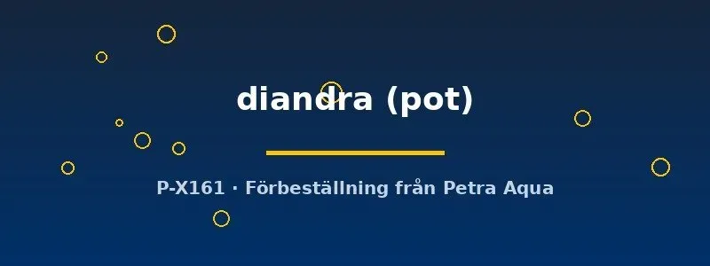 Näsets Didiplis diandra akvarieväxt pot ljusröd