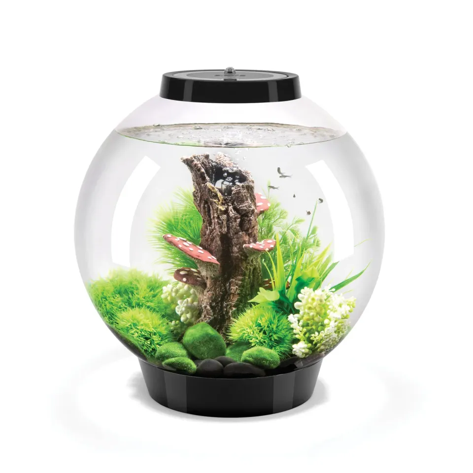 biOrb CLASSIC 30 akvarium 30 liter Woodland Wonder