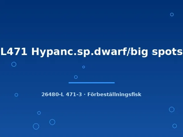 Näsets L471 Hypancistrus mal 8–10 cm fläckig