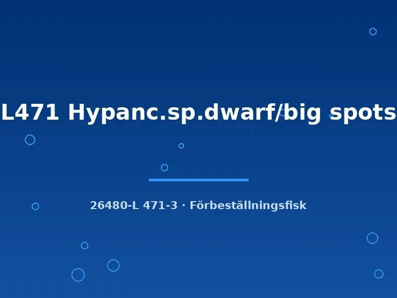 Näsets L471 Hypancistrus mal 8–10 cm fläckig