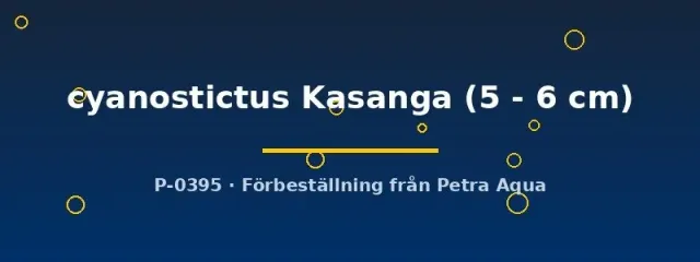 Eretmodus cyanostictus Kasanga tanganyikaciklid 5–6 cm