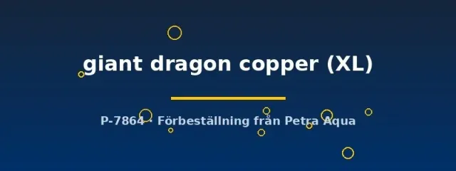 Näsets Ciklidhobby Betta giant dragon copper kampfisk hona XL