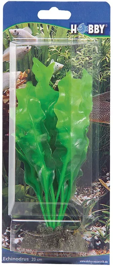 Hobby Echinodorus dekorväxt 20 cm plastväxt