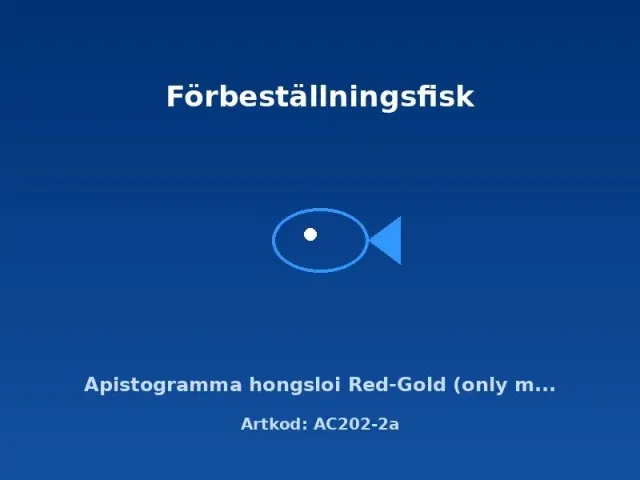 Näsets Ciklidhobby Apistogramma Hongsloi Red-Gold dvärgciklid hane