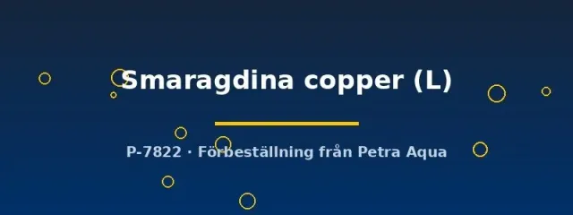 Näsets Ciklidhobby Smaragdina Copper kampfisk hane L
