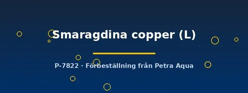 Näsets Ciklidhobby Smaragdina Copper kampfisk hane L